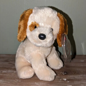 2008 Ty BOOMER the Dog Beanie Baby - 6"